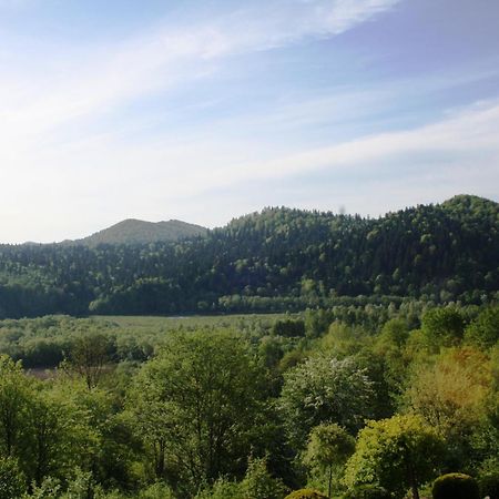 Lesny Dworek 1 Wolkowyja Exterior foto