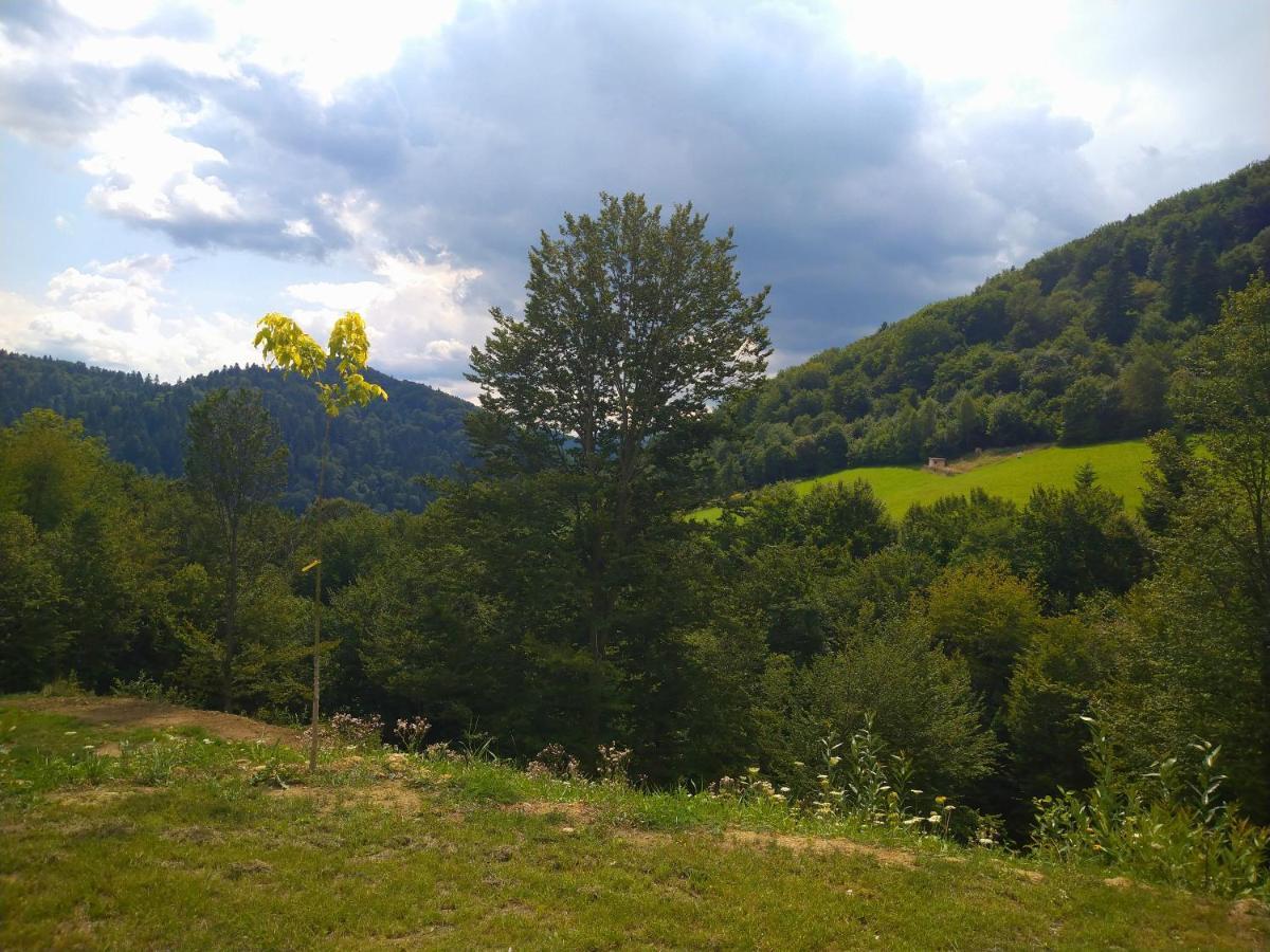 Lesny Dworek 1 Wolkowyja Exterior foto