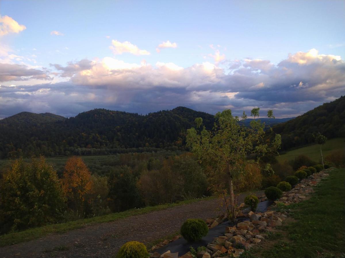 Lesny Dworek 1 Wolkowyja Exterior foto