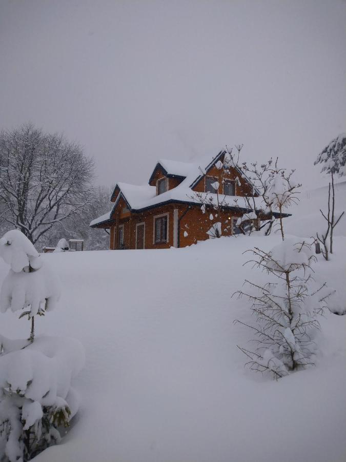 Lesny Dworek 1 Wolkowyja Exterior foto