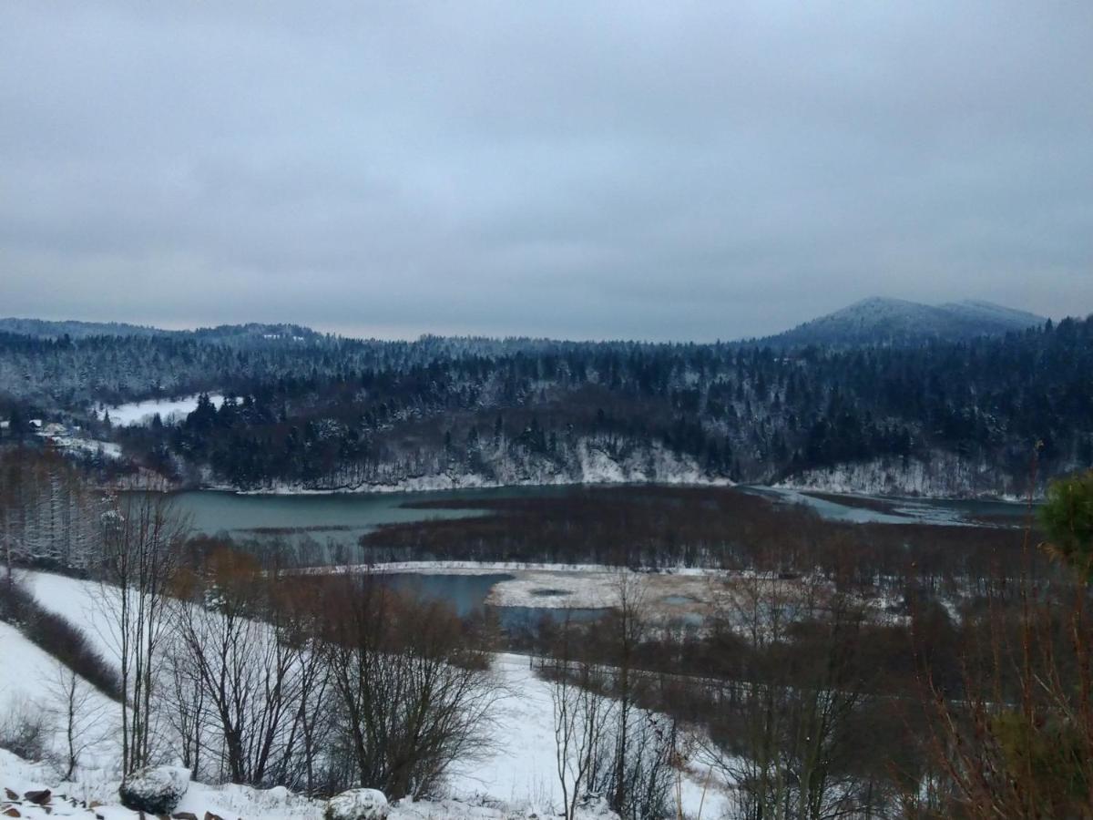 Lesny Dworek 1 Wolkowyja Exterior foto