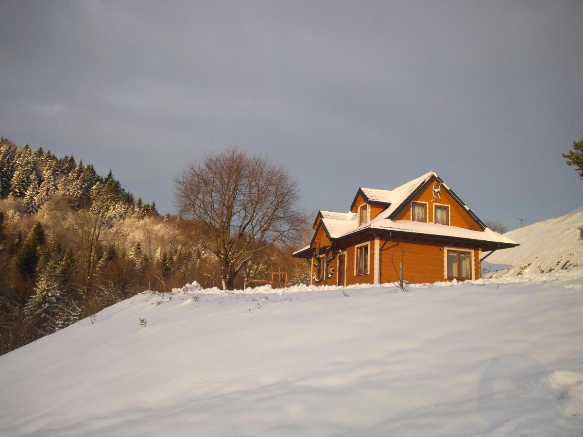 Lesny Dworek 1 Wolkowyja Exterior foto