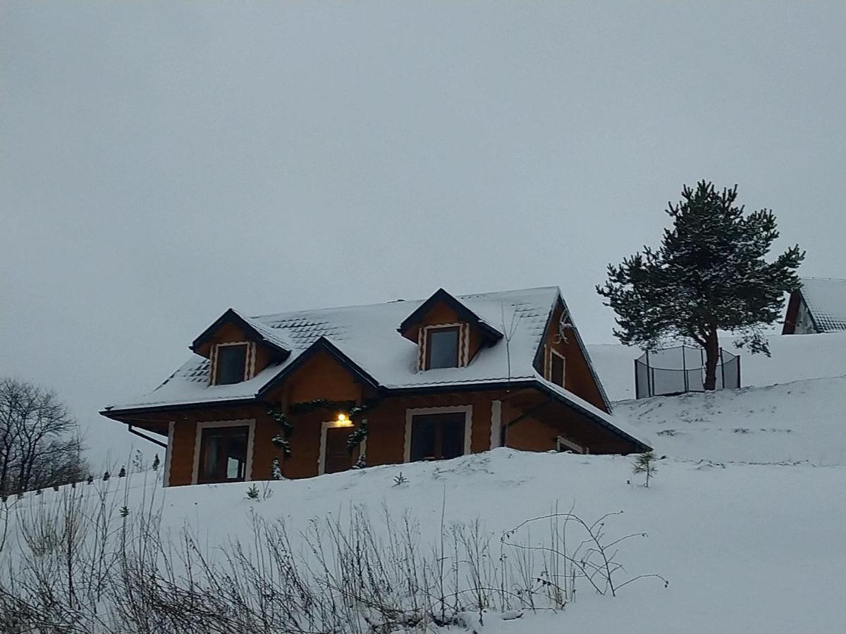 Lesny Dworek 1 Wolkowyja Exterior foto
