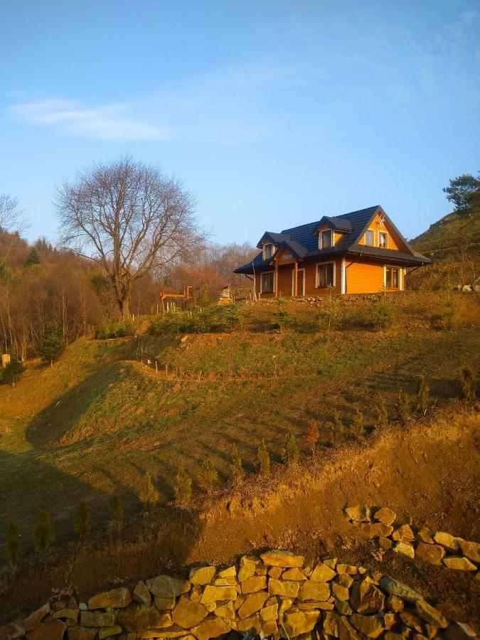 Lesny Dworek 1 Wolkowyja Exterior foto