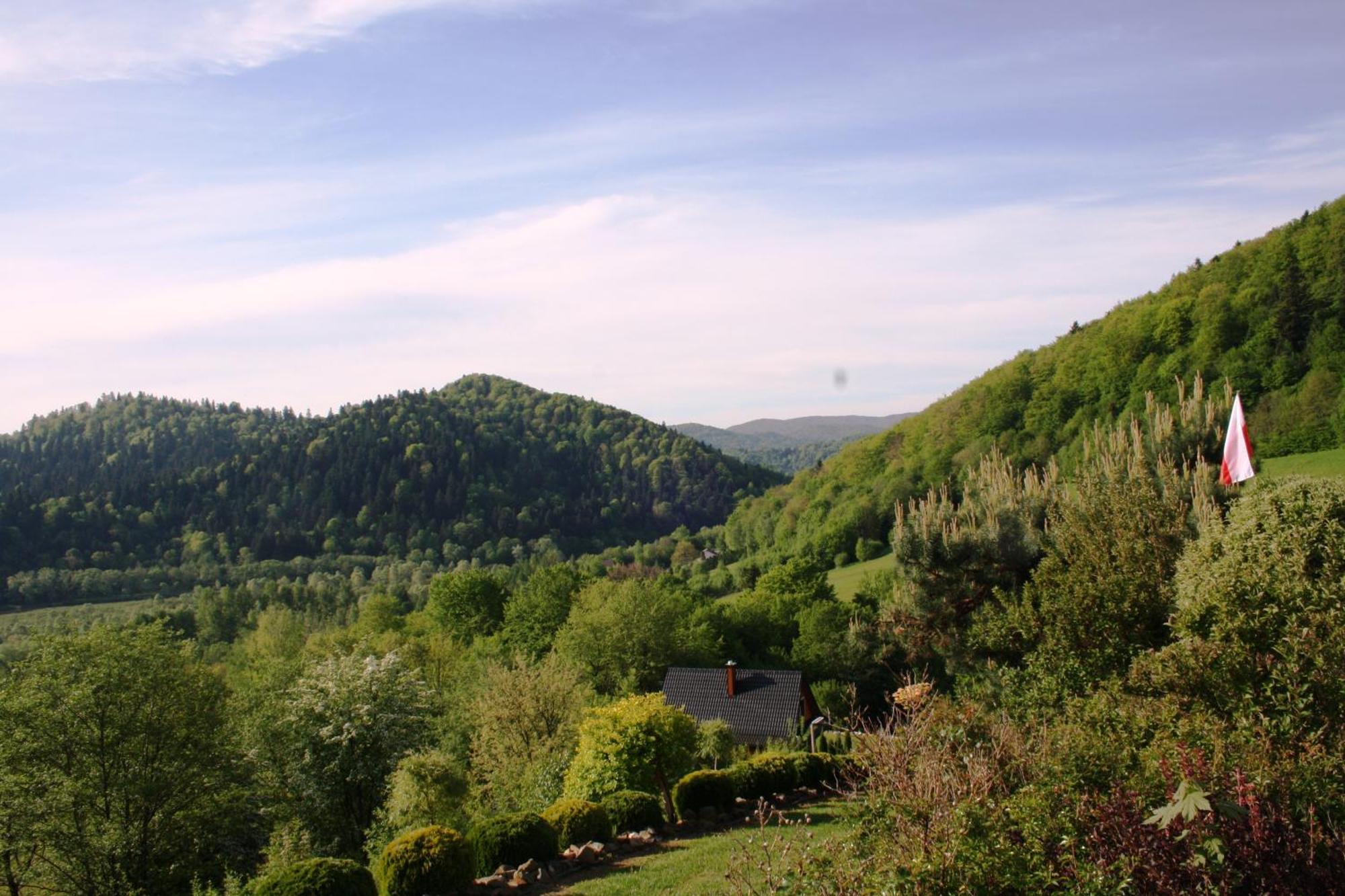Lesny Dworek 1 Wolkowyja Exterior foto