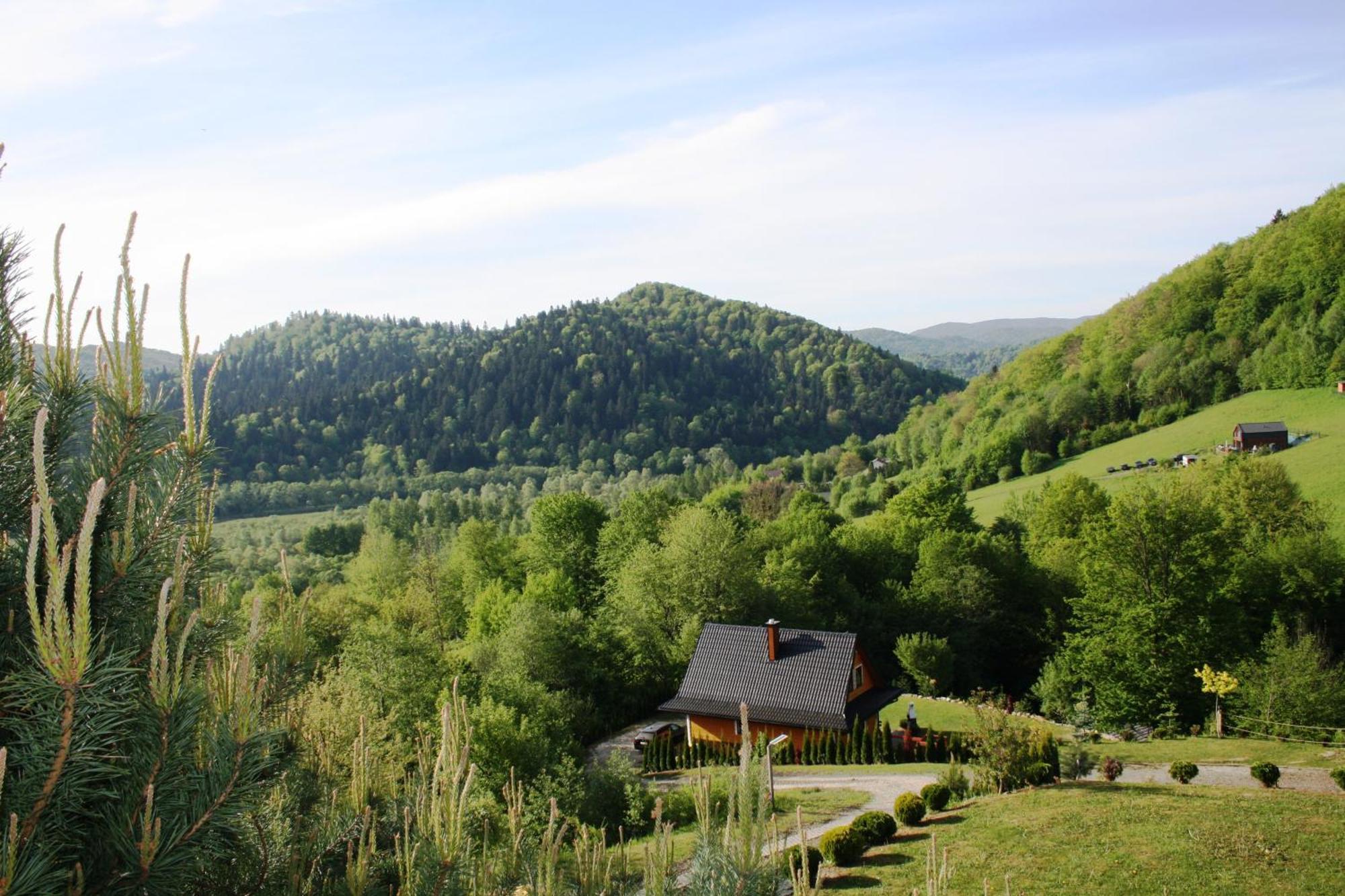 Lesny Dworek 1 Wolkowyja Exterior foto