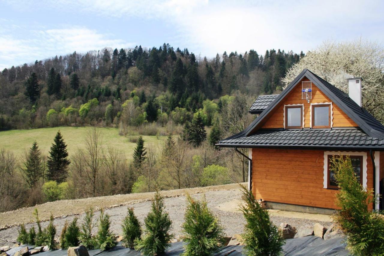 Lesny Dworek 1 Wolkowyja Exterior foto